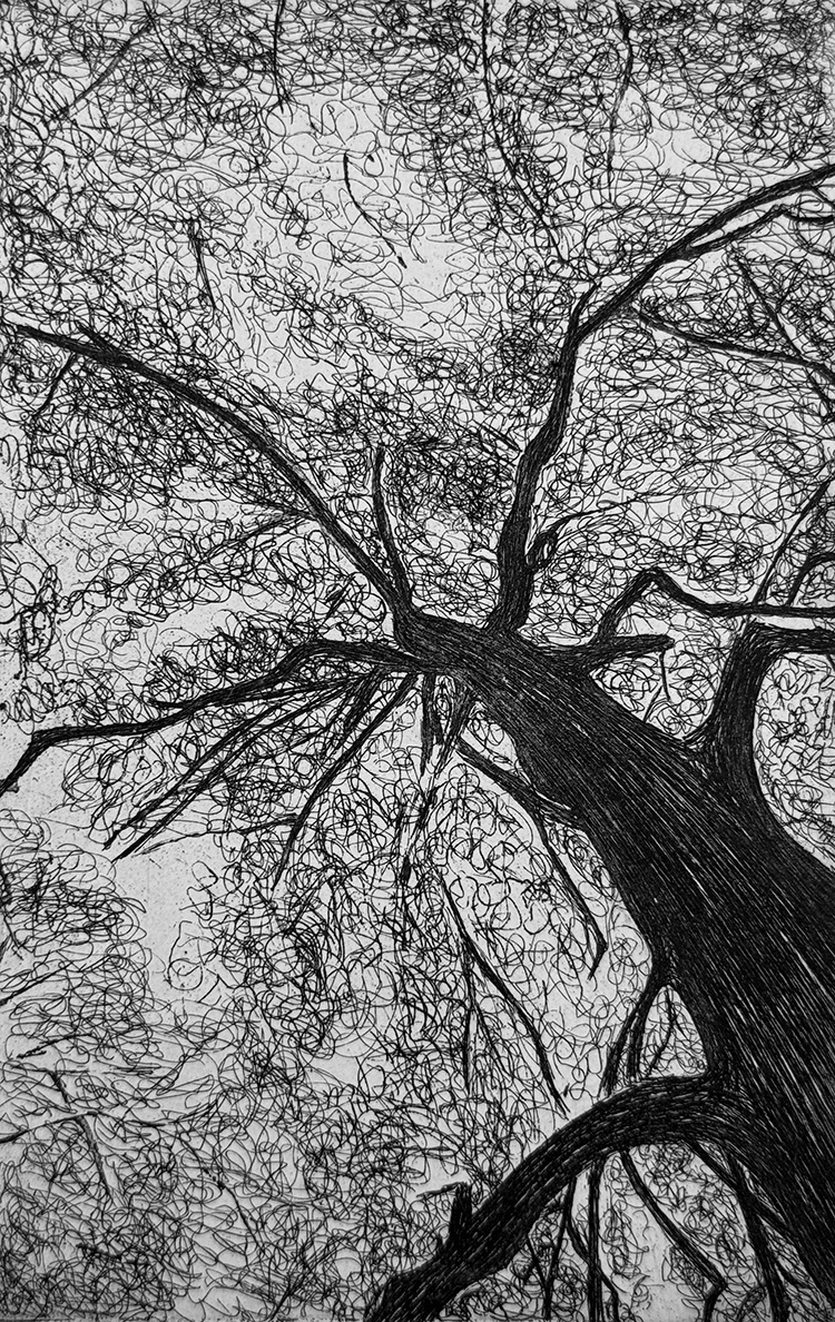 - tree for Prestons classbw